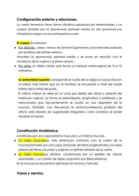 SOLUTION: Uretra femenina y aparato genital masculino y femenino anatomia notas - Studypool