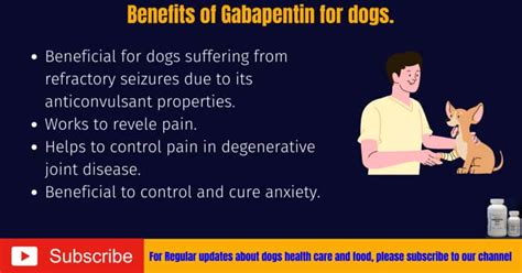 Can dogs take Gabapentin? Gabapentin dosage for dogs