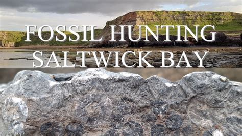 Fossil Hunting Yorkshire Saltwick Bay Youtube