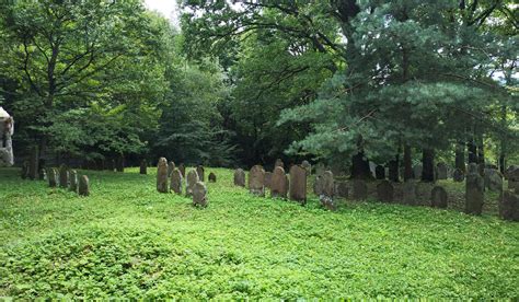 Tisinets Jewish Cemetery ESJF Surveys