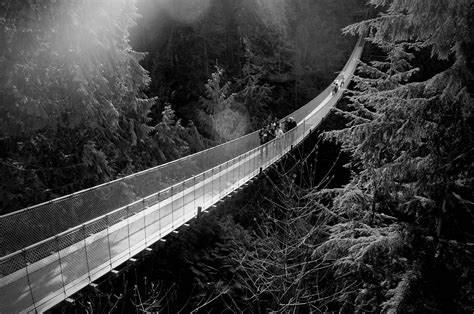 Capilano Suspension Bridge North Vancouver British Columbia [4288 X 2848] Imgur