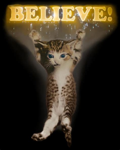 Believe Cat Poster Travel Painting By Joe Taylor Fine Art America