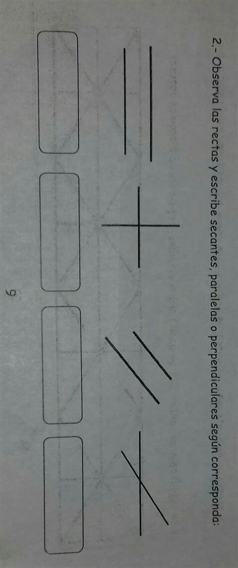 Observa Las Rectas Y Escribe Secantes Paralelas O Perpendiculares Segun