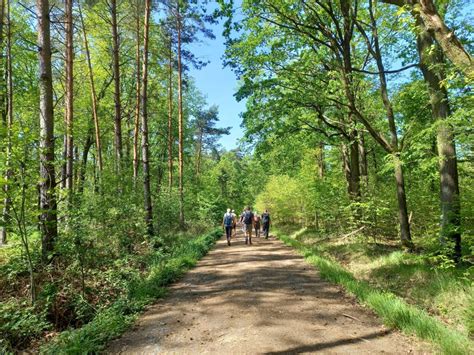 Wanderung In Den Mai Heimatverein Borsdorf E V