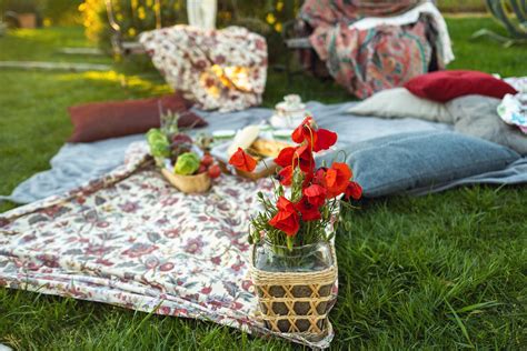 Organic Lawn Repair: How to Repair a Lawn Organically - Lawn Creations