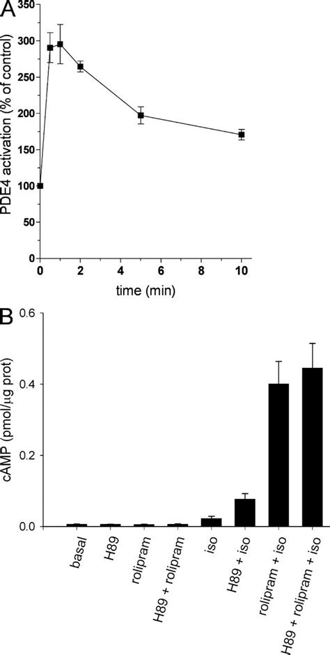 Effects Of Pka On Isoproterenol 1 μm Induced Camp Synthesis And