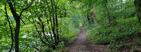 Farnley Hall Fish Pond Discover Leeds