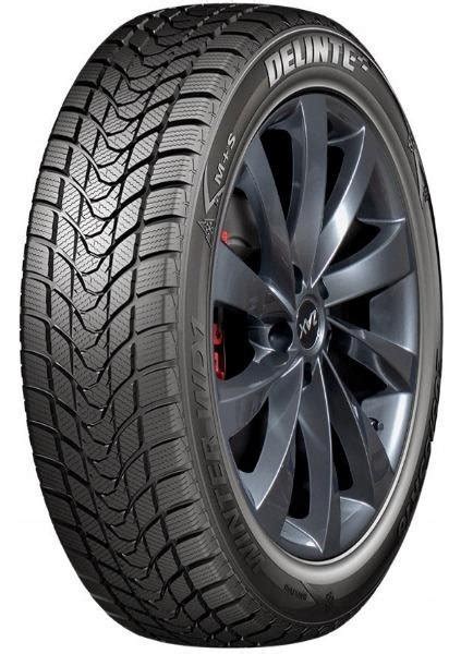 Delinte WD1 205/55 R16 91 H - ermitazas.lt