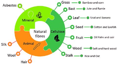 Schematic Of Natural Fibers Classification Download Scientific Diagram