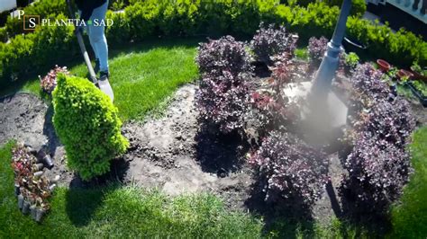 Посадка однолетних цветов - YouTube