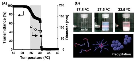 Polymers Free Full Text Recent Advances In Dual Temperature