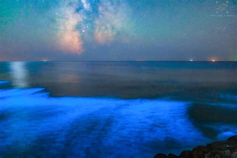 Bioluminescent Waves Caught In Surreal Photos