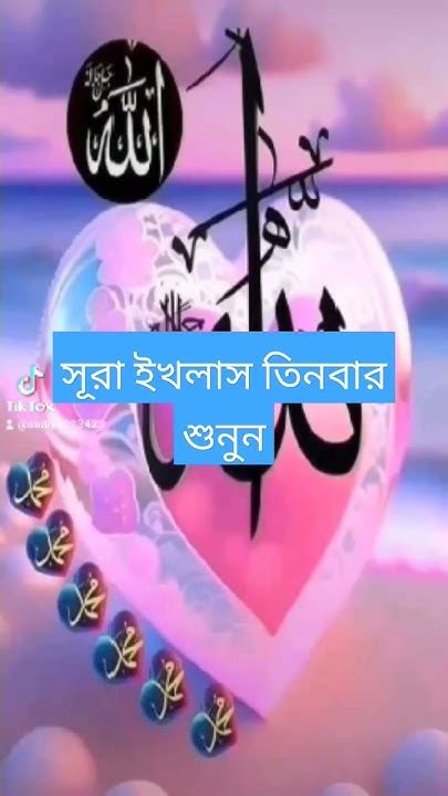 মাশাআল্লাহ কি সুন্দর তেলাওয়াত🤲🕋 Facts আম Sura Islamicpreacher