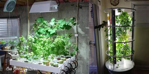 Urban Gardening 101 How To Build A Grow Room In A Garage