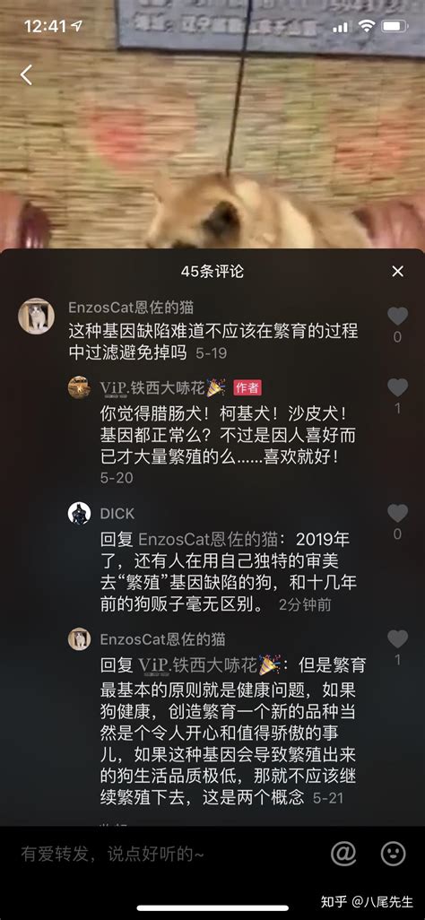 最近抖音上很火的卡西莫多犬到底是什么情况？ 知乎