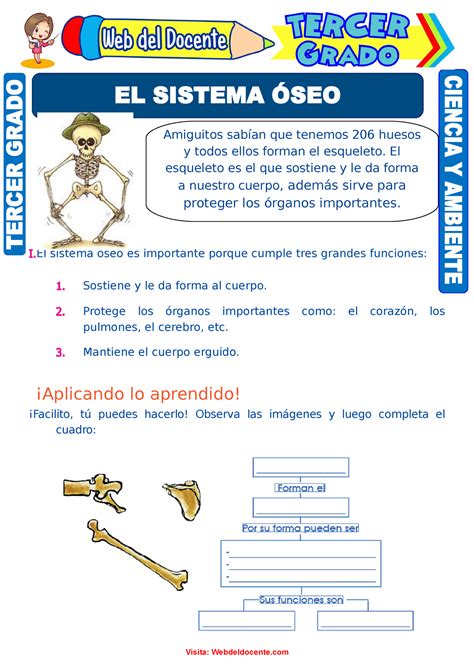 El Sistema Seo Para Tercer Grado De Primaria I Sistema Seo Es