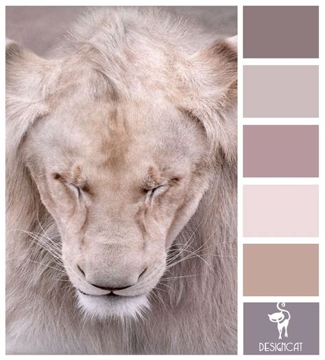 What Color Is A Lions Hair Paintcolor Ideas Whiter Than The Whitest