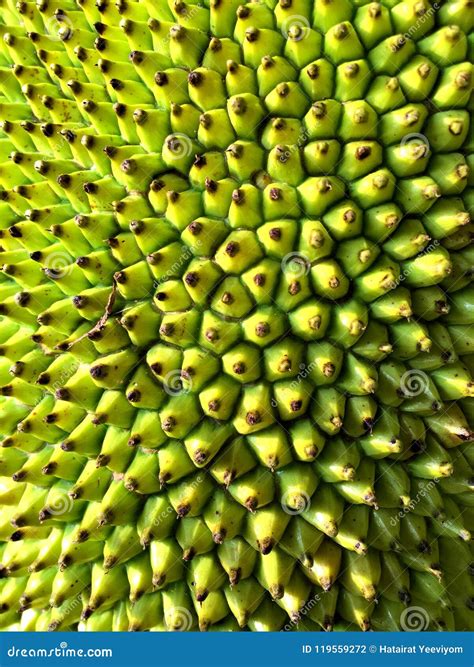 Jackfruit Thorn Surface Blur Texture Background Stock Photo