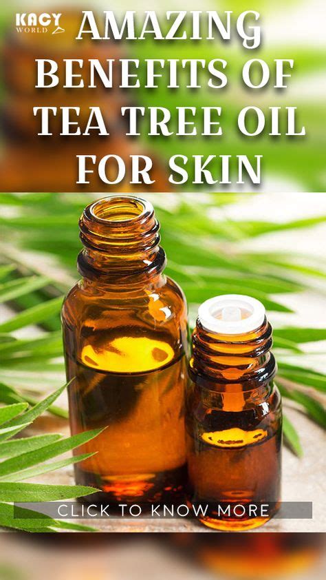 Benefits Of Tea Tree Oil With Side Effects And Warning Tea Tree Tree