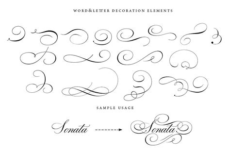 43 Calligraphic Flourishes Bundle Flourish Calligraphy Calligraphy