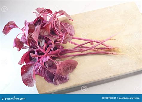 Amaranthus Dubius The Red Spinach Chinese Spinach Spleen Amaranth It