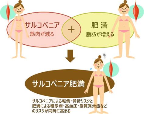 肥満より怖い「サルコペニア肥満」 食事と運動で筋肉低下を予防 ニュース 一般社団法人 日本生活習慣病予防協会