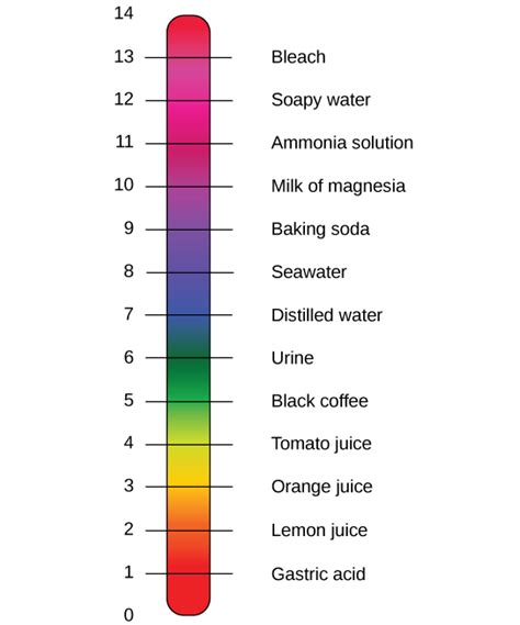 24 Buffers Ph Acids And Bases Biology Libretexts