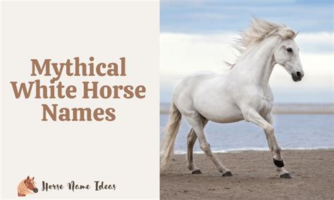 250 Mythical White Horse Names (With Meanings) - HorseNameIdeas.com