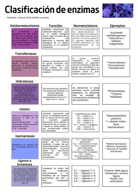 Clasificacion De Las Enzimas Como Se Clasifican Images