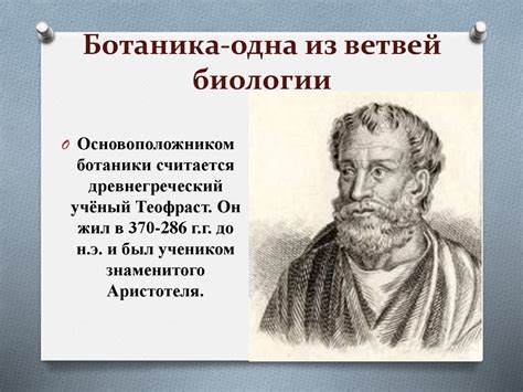 Наука о растениях - ботаника - презентация онлайн