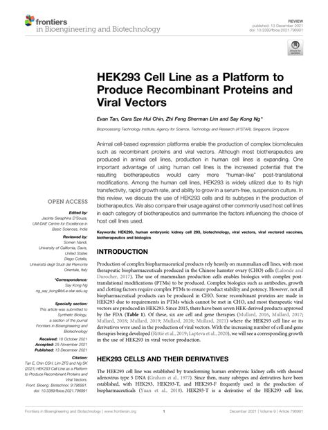 (PDF) HEK293 Cell Line as a Platform to Produce Recombinant Proteins ... 