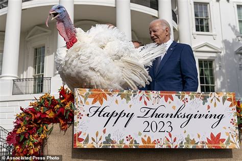 Joe Biden Is Mocked Over Photo Of Himself Celebrating St Birthday In