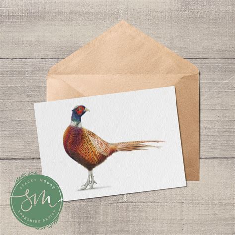 Pheasant Greetings Card Stacey Moore