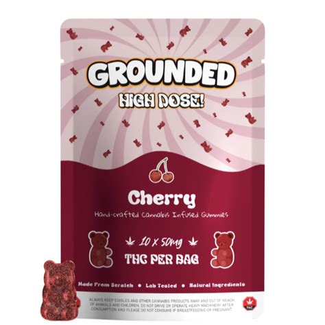 Grounded High Dose Bears Cherry 500mg Gummies Weedpedia Coupons