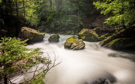 Landscape Forest Waterfall Water Rock Nature Green River Valley