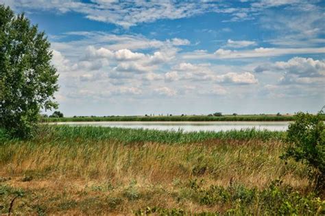 100 National Park Neusiedler See Seewinkel Fotos De Stock Imagens E Fotos Royalty Free Istock