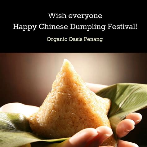 dumpling wishes ideas dumpling festival happy mid autumn festival