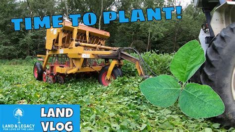 Fall Food Plots Planting In Standing Soybeans Greens And Grain YouTube