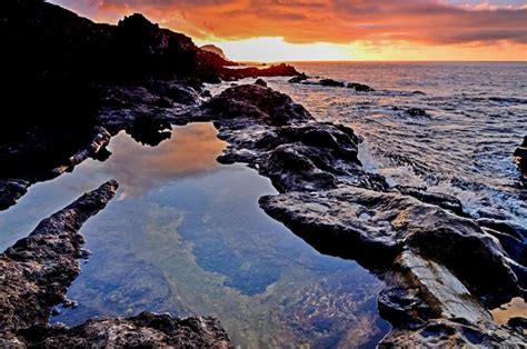 Premium Photo | Tropical Sunset