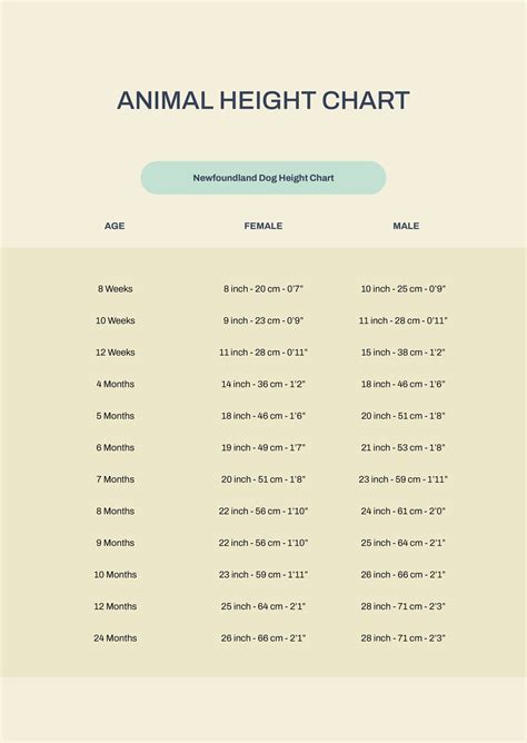 Animal Height Chart in PDF - Download | Template.net