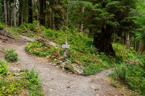 The Amazing Enchanted Valley Trail In Olympic National Park