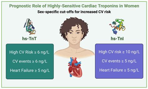 Biomolecules Free Full Text Prognostic Value Of High Sensitivity