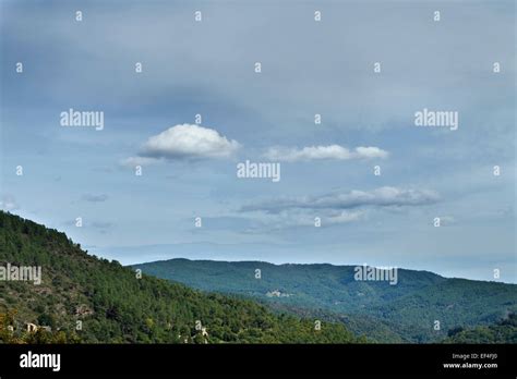 National Park Of Cevennes Unesco Mountain Tree Stock Photo Alamy