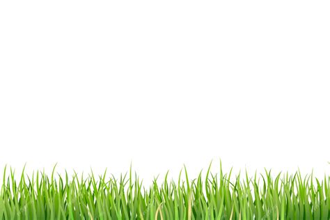 Free PSD | Grass border isolated