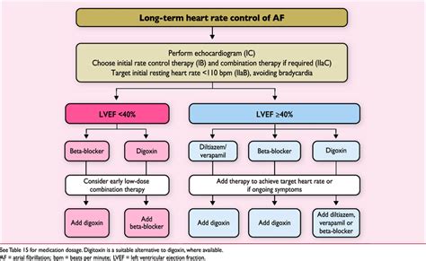 Long Term Heart Rate Control In Patients With Atrial Fibrillation Download Scientific Diagram