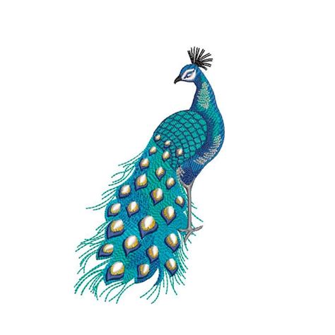 Peacock Embroidery - Etsy