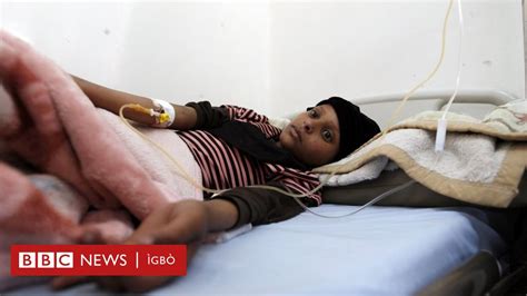 Lekwa ihe anyị chọpụtara maka ọrịa leukemia BBC News Ìgbò