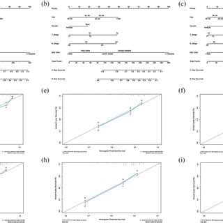 Nomograms And Calibration Curves For Predicting The 3 And 5 Year