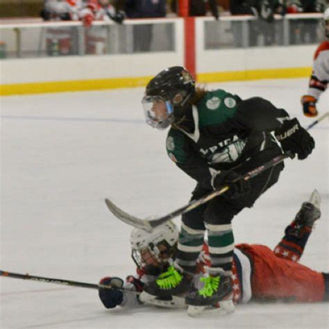 Billerica Hockey Association Peewee Roster Squirt Bantam