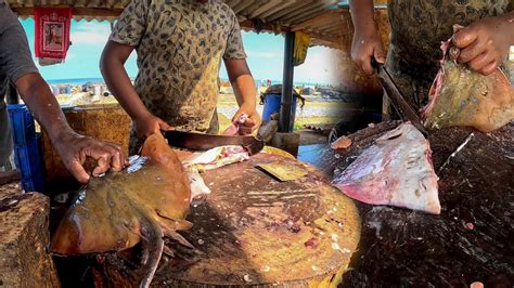 Stingray Fish Paradise Never Seen Expert Fish Cutting Fastest Sri